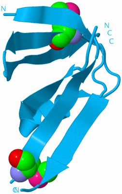 Image Biological Unit 10