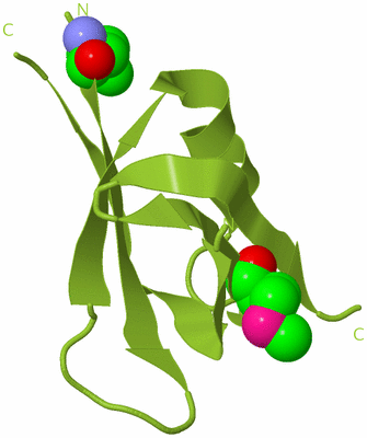 Image Biological Unit 13