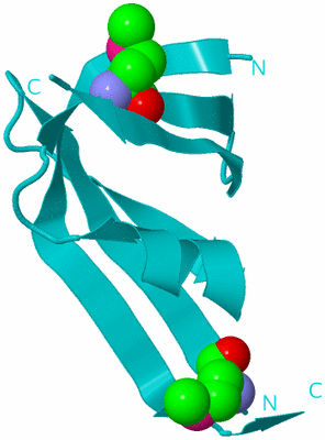 Image Biological Unit 14