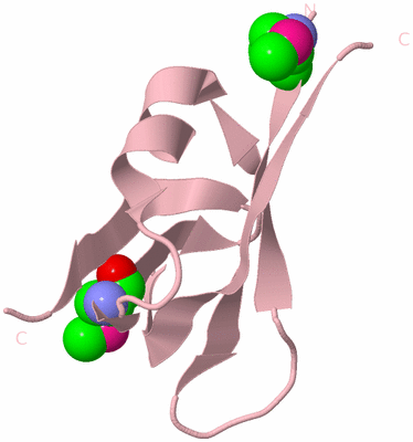 Image Biological Unit 3