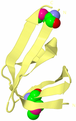 Image Biological Unit 4