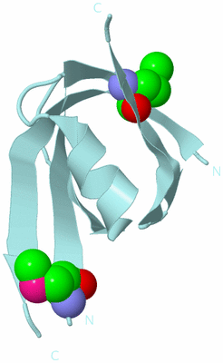 Image Biological Unit 6