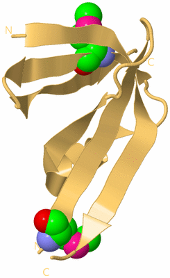 Image Biological Unit 7