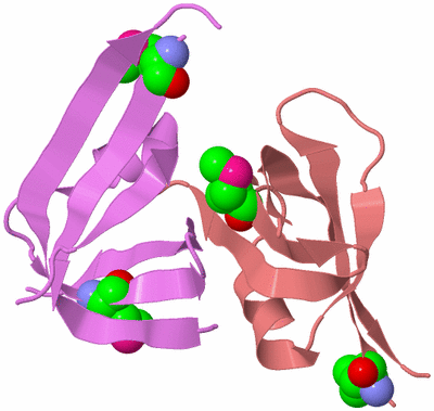 Image Biological Unit 8