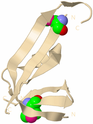 Image Biological Unit 9