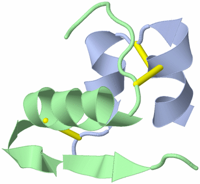 Image Biological Unit 1