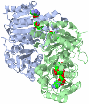 Image Biological Unit 1