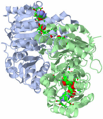 Image Biol. Unit 1 - sites