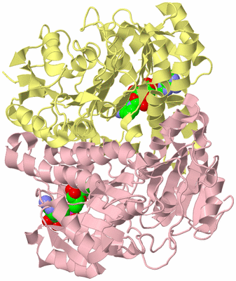 Image Biological Unit 2