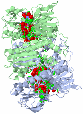 Image Asym./Biol. Unit - sites