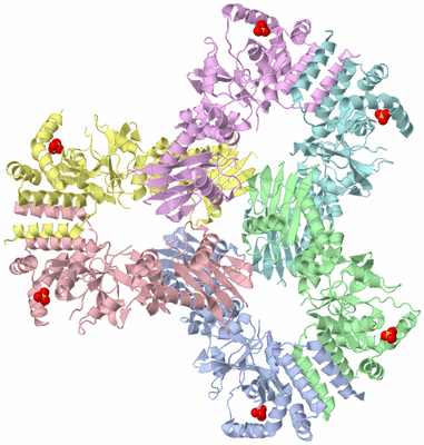 Image Asym./Biol. Unit