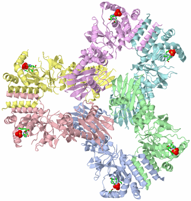 Image Asym./Biol. Unit - sites