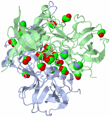 Image Asym./Biol. Unit