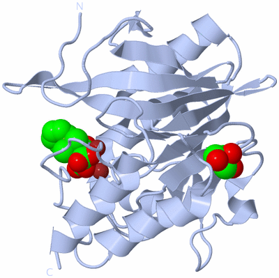 Image Biological Unit 1