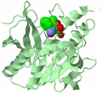 Image Biological Unit 2