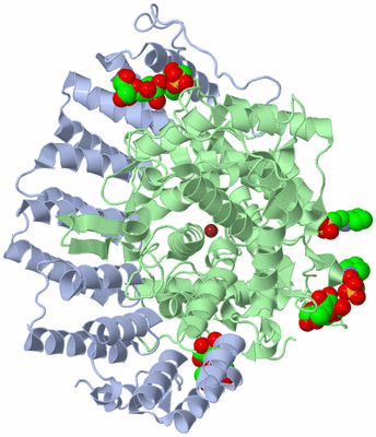 Image Asym./Biol. Unit