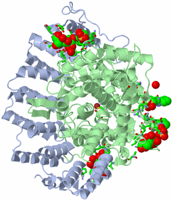 Image Asym./Biol. Unit - sites