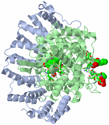 Image Asym./Biol. Unit - sites