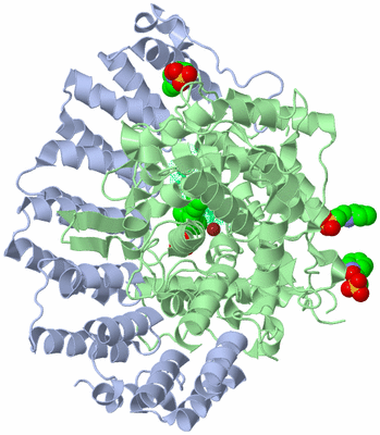 Image Asym./Biol. Unit