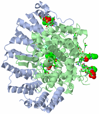 Image Asym./Biol. Unit - sites