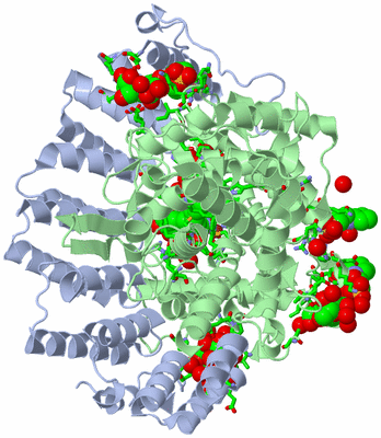 Image Asym./Biol. Unit - sites