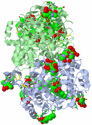 Image Asym./Biol. Unit - sites