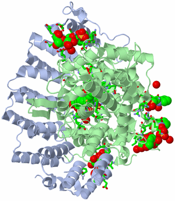 Image Asym./Biol. Unit - sites