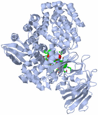 Image Biol. Unit 1 - sites