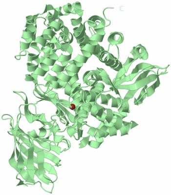 Image Biological Unit 2