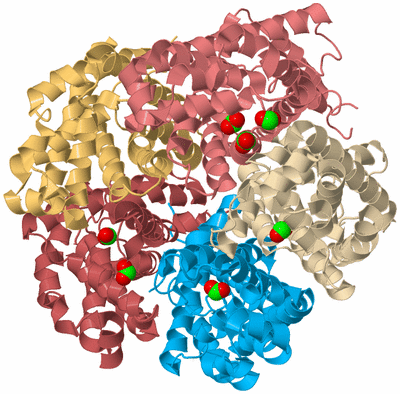 Image Biological Unit 2