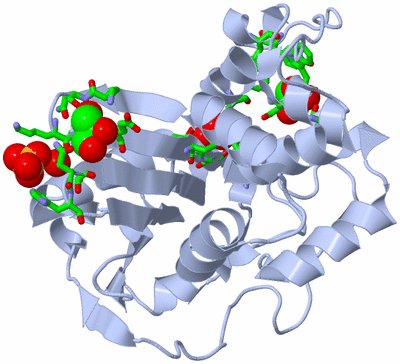 Image Biol. Unit 1 - sites