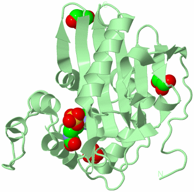 Image Biological Unit 2