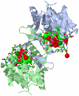 Image Asym./Biol. Unit - sites