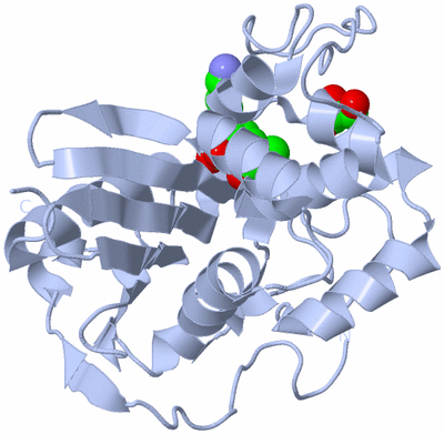 Image Biological Unit 1