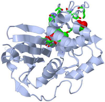 Image Biol. Unit 1 - sites