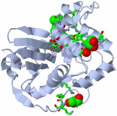 Image Biol. Unit 1 - sites