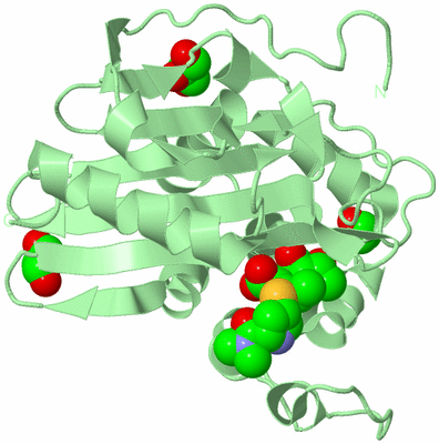 Image Biological Unit 2