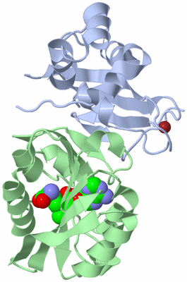 Image Asym./Biol. Unit