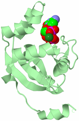 Image Biological Unit 2