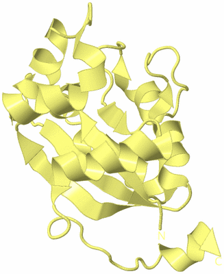 Image Biological Unit 4