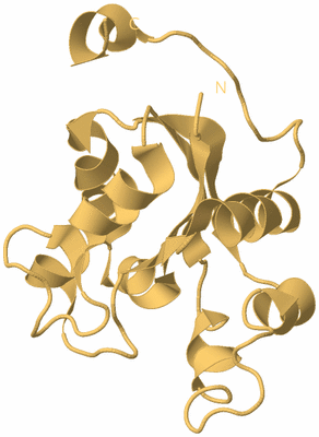 Image Biological Unit 7