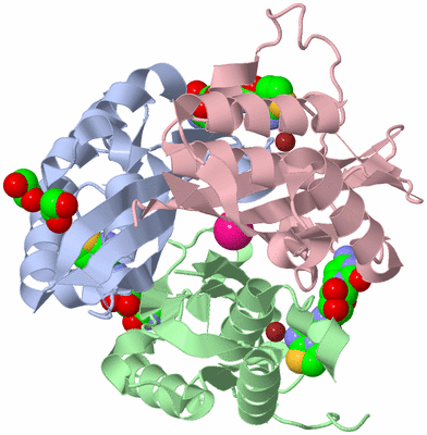 Image Asym./Biol. Unit