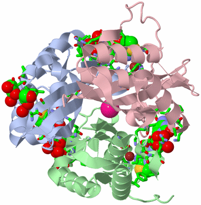 Image Asym./Biol. Unit - sites