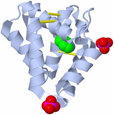 Image Biological Unit 1