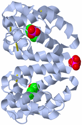 Image Biological Unit 2