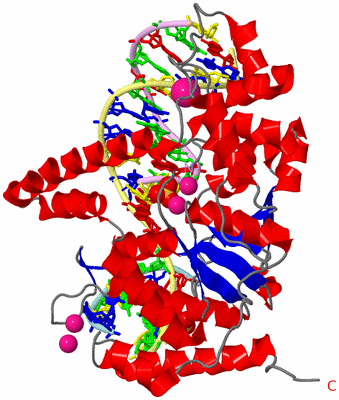 Image Asym./Biol. Unit