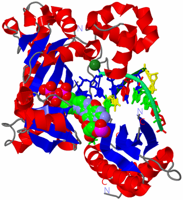 Image Asym./Biol. Unit