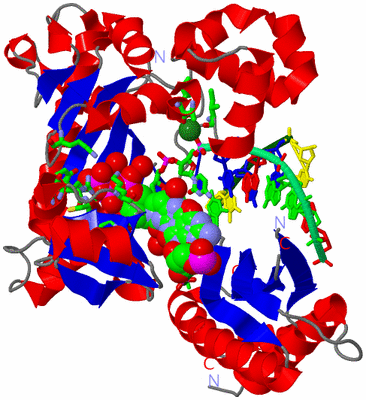 Image Asym./Biol. Unit - sites