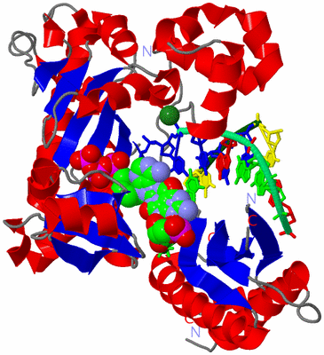 Image Asym./Biol. Unit