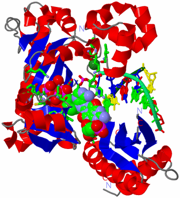 Image Asym./Biol. Unit - sites